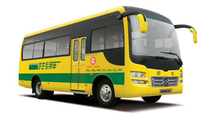 DD6600K01F/ DD6751K01F Transit Style School Bus